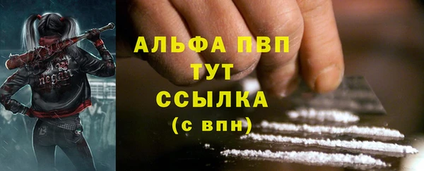 ГАЛЛЮЦИНОГЕННЫЕ ГРИБЫ Инта