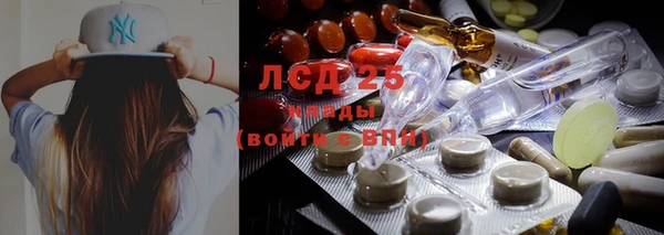 трава Иннополис