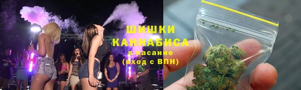 ГАЛЛЮЦИНОГЕННЫЕ ГРИБЫ Инта