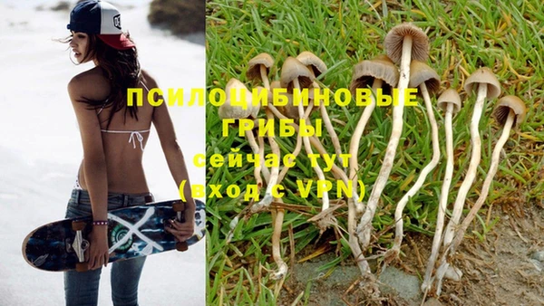 не бодяженный Зерноград