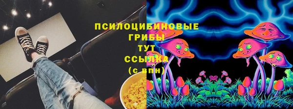 ГАЛЛЮЦИНОГЕННЫЕ ГРИБЫ Зеленокумск