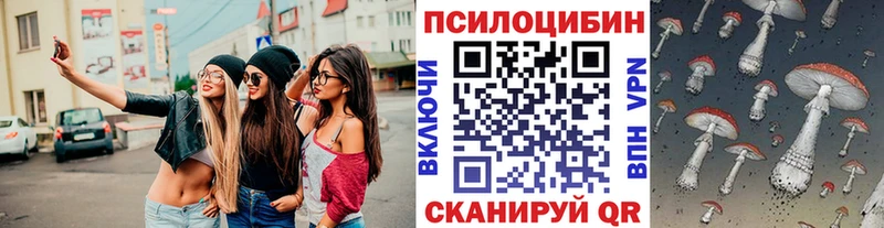 Псилоцибиновые грибы мухоморы  Купить закладки  Звенигород 